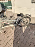 Tandem Bisiklet - 1886 İngiliz Starley