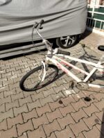 Tandem Bisiklet - 1886 İngiliz Starley