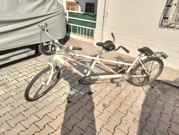 Tandem Bisiklet - 1886 İngiliz Starley