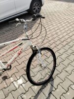 Tandem Bisiklet - 1886 İngiliz Starley